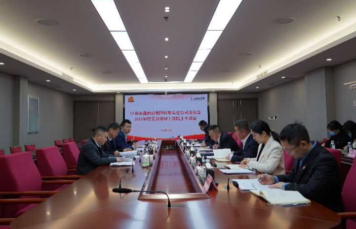 九州酷游集团党委书记、董事长任丁出席安逸酒店集团2022年度党员领导干部民主生活会