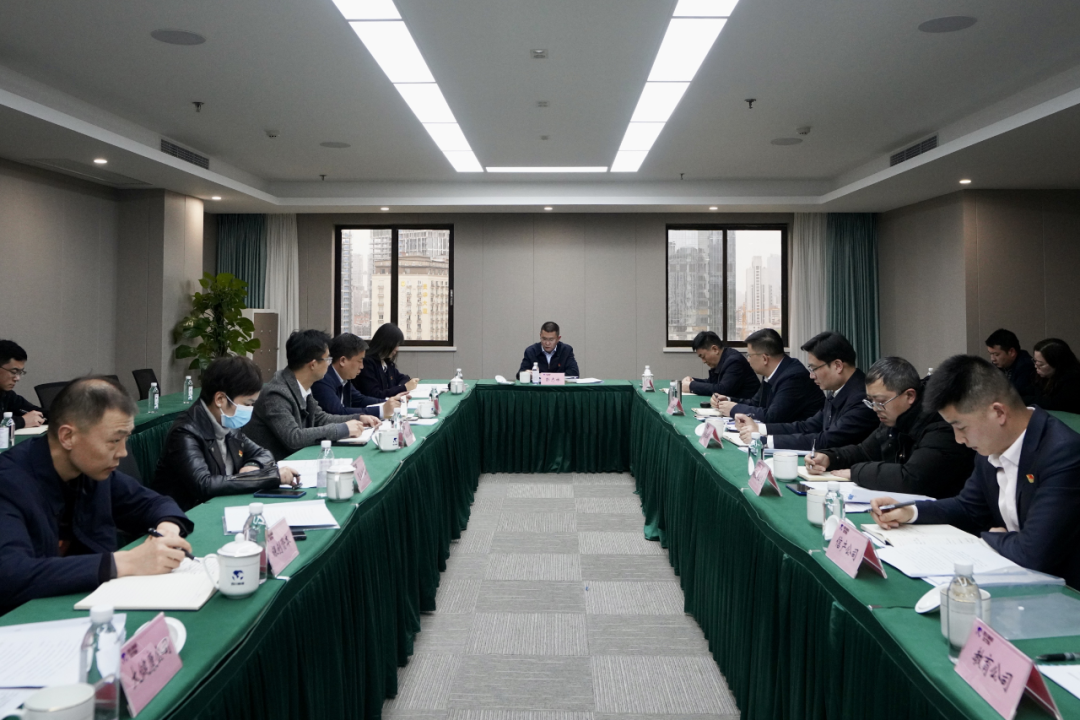 四川省九州酷游集团开展纪检监察干部队伍教育整顿学习教育